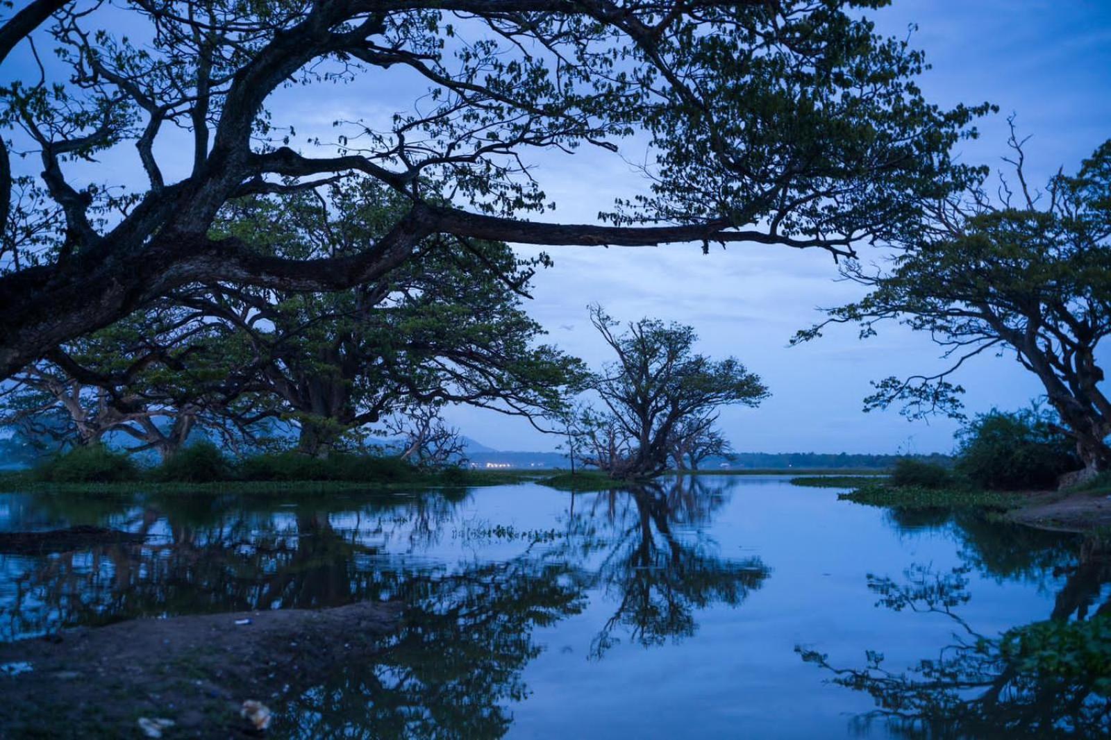Black Panther Yala Tissamaharama Exteriér fotografie